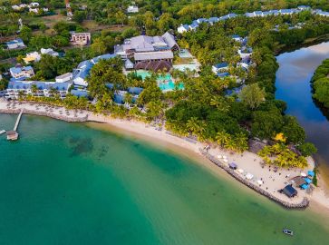 THE RAVENALA  ATTITUDE